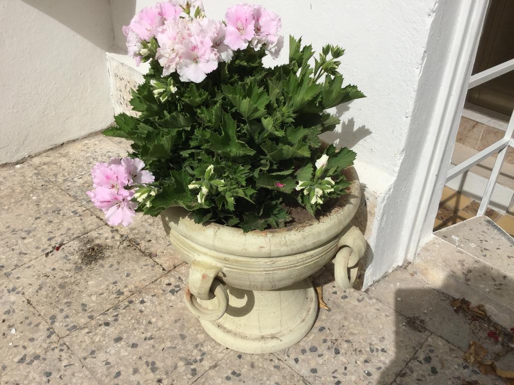 Villa Case Vacanze Le Rose Noto Exterior foto